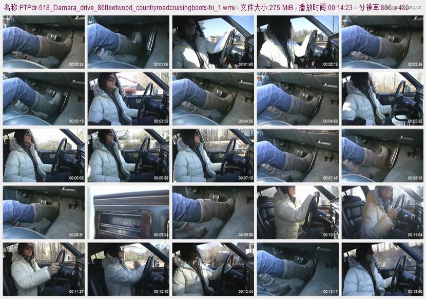 ptpdr-518_Damara_drive_86fleetwood_countryroadcruisingboots